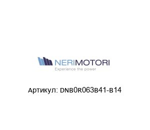 DNB0R063B41-B14 Neri Motori Электродвигатель