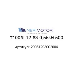 T100BL12-B3-0,55kW-500 20051293002004 Neri Motori Двигатель