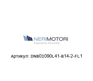 DNB0I090L41-B14-2-FL1 Neri Motori Электродвигатель
