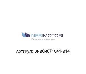 DNB0M071C41-B14 Neri Motori Мотор