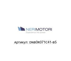 DNB0R071C41-B5 Neri Motori Двигатель