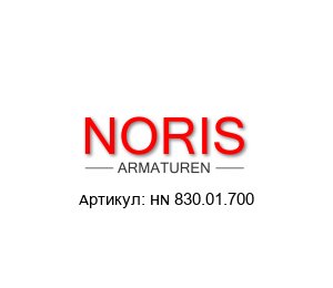 HN 830.01.700 Noris Armaturen Масляный ниппель