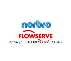 (8100002665) 20 ARS40 Norbro (brand of FLOWSERVE)