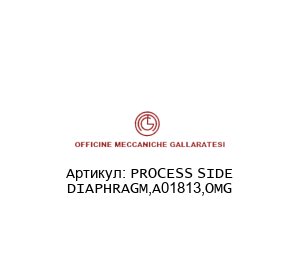 PROCESS SIDE DIAPHRAGM,A01813,OMG Officine Meccaniche Gallaratesi (OMG)