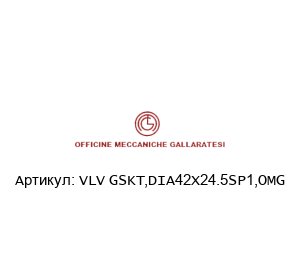 VLV GSKT,DIA42X24.5SP1,OMG Officine Meccaniche Gallaratesi (OMG)