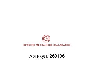 269196 Officine Meccaniche Gallaratesi (OMG) Плунжерный узел