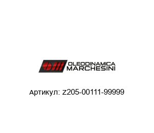 Z205-00111-99999 Oleodinamica Marchesini Гидравлический клапан