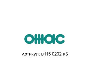 B115 0202 RS OMAC Помпа