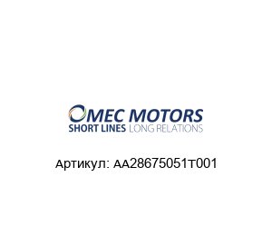 AA28675051T001 Omec Motors Электромотор