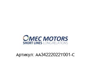 AA34222022T001-C Omec Motors Электродвигатель