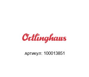 100013851 Ortlinghaus Муфта