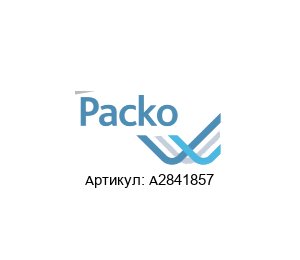 A2841857 Packo Pumpen Насос