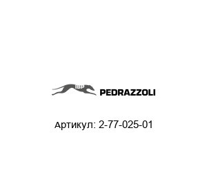 2-77-025-01 PEDRAZZOLI Шестерня