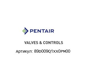 89D009Q1XX0PM00 Pentair Valves & Controls (Brand of Emerson) Поворотный клапан