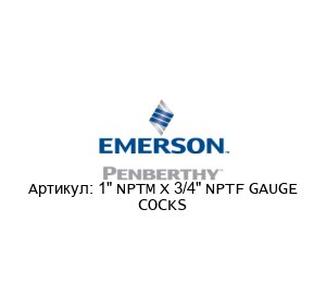 1" NPTM X 3/4" NPTF GAUGE COCKS PENBERTHY (brand of Emerson)