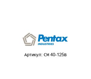 CM 40-125B PENTAX Насос