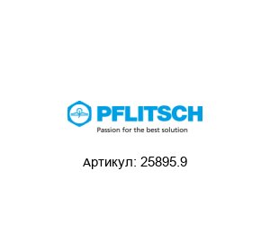 25895.9 PFLITSCH