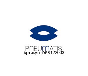 DBS122003 Pneumatis