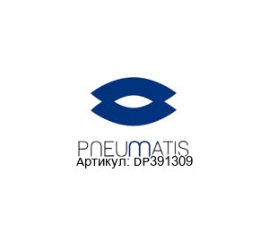 DP391309 Pneumatis Пневматическая пружина