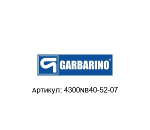 4300NB40-52-07 Pompe Garbarino Радиальное манжетное уплотнение