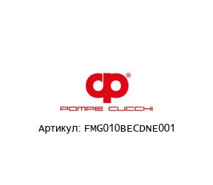 FMG010BECDNE001 POMPE CUCCHI Насос