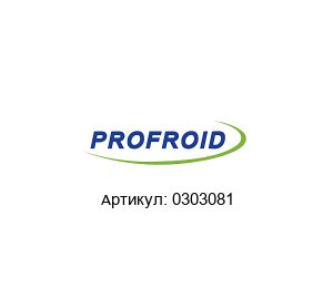 0303081 PROFROID Мотор
