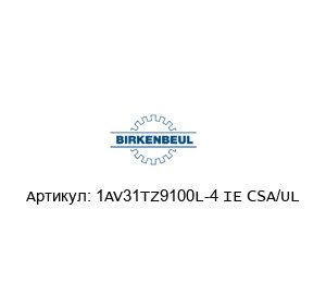 1AV31TZ9100L-4 IE CSA/UL Robert Birkenbeul Двигатель