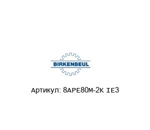 8APE80M-2K IE3 Robert Birkenbeul Двигатель