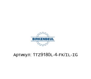 1TZ9180L-4-FK/IL-IG  Robert Birkenbeul