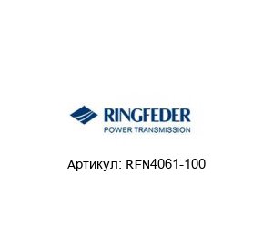 RFN4061-100 RINGFEDER