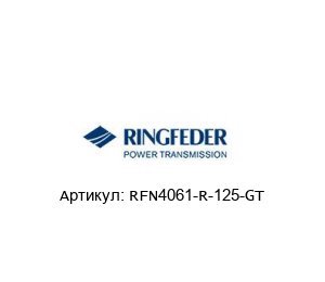 RFN4061-R-125-GT RINGFEDER