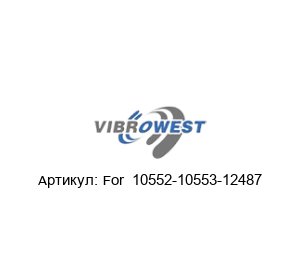 For  10552-10553-12487 Vibrowest Клапанная кольцо