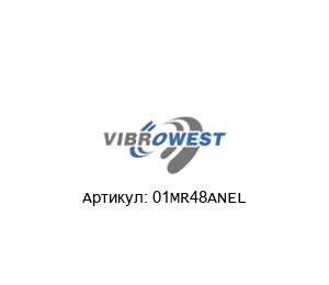 01MR48ANEL Vibrowest Сетка