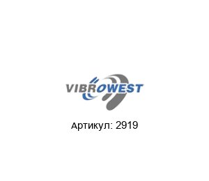2919 Vibrowest Асинхронный двигатель