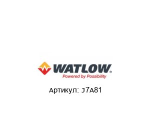 J7A81 Watlow