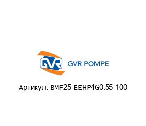 BMF25-EEHP4G0.55-100 GVR Pompe