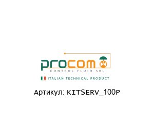 KITSERV_100P Procom Valves Ремонтный комплект