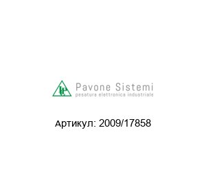 2009/17858 Pavone Sistemi